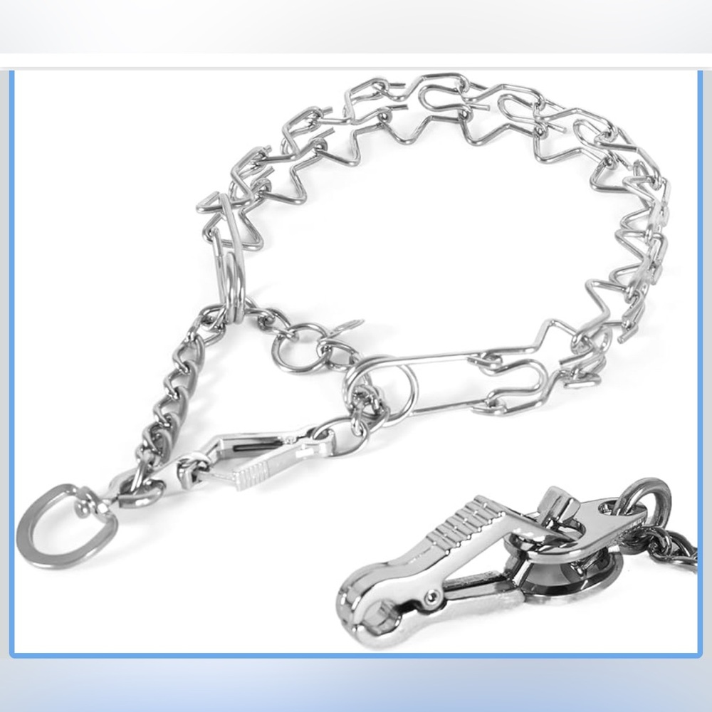 Dog Training Collar Prong Collar